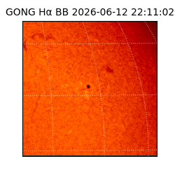 gong - 2026-06-12T22:11:02