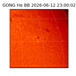 gong - 2026-06-12T23:00:02