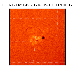 gong - 2026-06-12T01:00:02