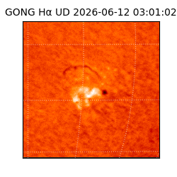 gong - 2026-06-12T03:01:02