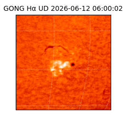 gong - 2026-06-12T06:00:02