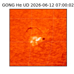gong - 2026-06-12T07:00:02