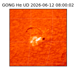 gong - 2026-06-12T08:00:02