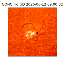 gong - 2026-06-12T09:00:02