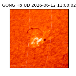 gong - 2026-06-12T11:00:02