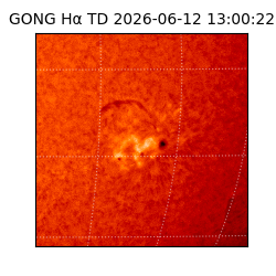 gong - 2026-06-12T13:00:22