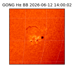 gong - 2026-06-12T14:00:02