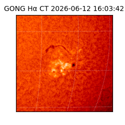 gong - 2026-06-12T16:03:42