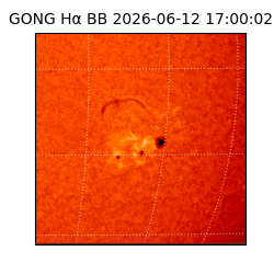 gong - 2026-06-12T17:00:02