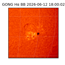 gong - 2026-06-12T18:00:02