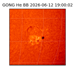 gong - 2026-06-12T19:00:02