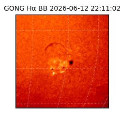 gong - 2026-06-12T22:11:02