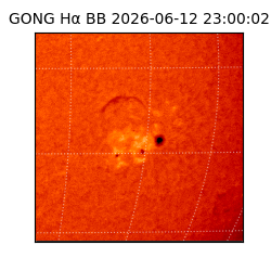 gong - 2026-06-12T23:00:02