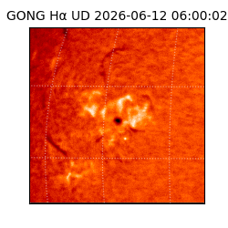 gong - 2026-06-12T06:00:02