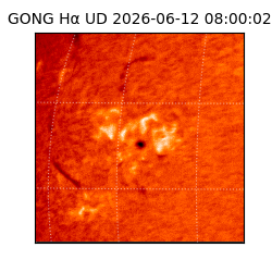gong - 2026-06-12T08:00:02