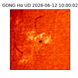 gong - 2026-06-12T10:00:02
