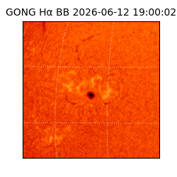 gong - 2026-06-12T19:00:02