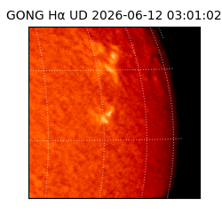 gong - 2026-06-12T03:01:02