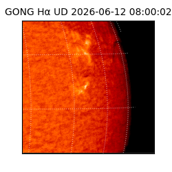 gong - 2026-06-12T08:00:02
