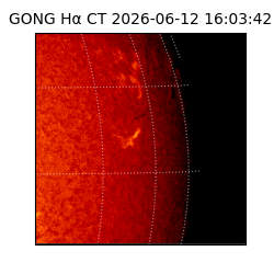 gong - 2026-06-12T16:03:42