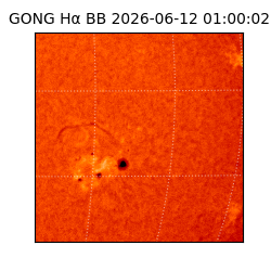 gong - 2026-06-12T01:00:02