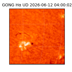 gong - 2026-06-12T04:00:02