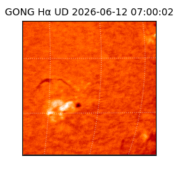 gong - 2026-06-12T07:00:02