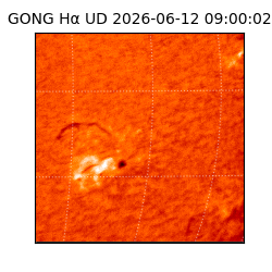 gong - 2026-06-12T09:00:02