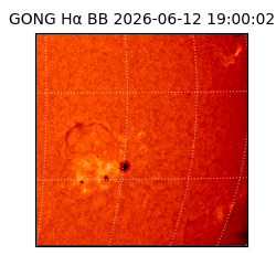 gong - 2026-06-12T19:00:02