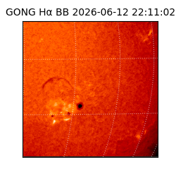 gong - 2026-06-12T22:11:02