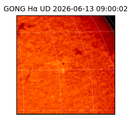 gong - 2026-06-13T09:00:02
