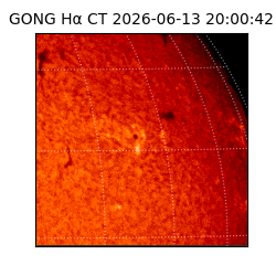 gong - 2026-06-13T20:00:42
