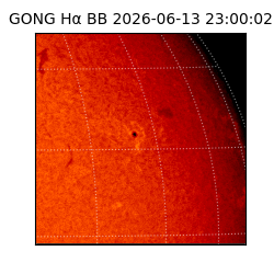 gong - 2026-06-13T23:00:02
