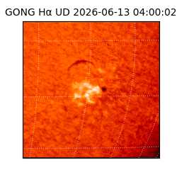 gong - 2026-06-13T04:00:02