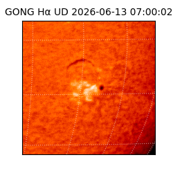 gong - 2026-06-13T07:00:02