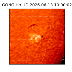 gong - 2026-06-13T10:00:02