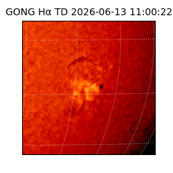gong - 2026-06-13T11:00:22