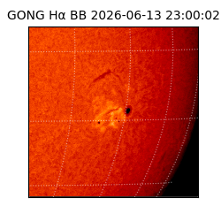 gong - 2026-06-13T23:00:02