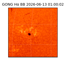 gong - 2026-06-13T01:00:02