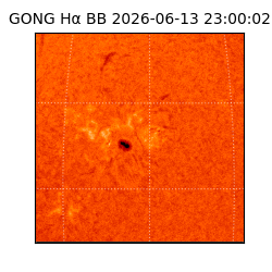 gong - 2026-06-13T23:00:02