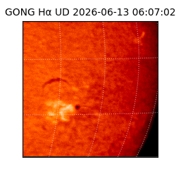 gong - 2026-06-13T06:07:02