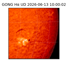 gong - 2026-06-13T10:00:02
