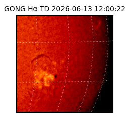 gong - 2026-06-13T12:00:22