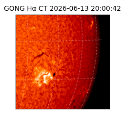 gong - 2026-06-13T20:00:42
