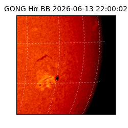gong - 2026-06-13T22:00:02