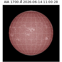 saia - 2026-06-14T11:00:28.716000