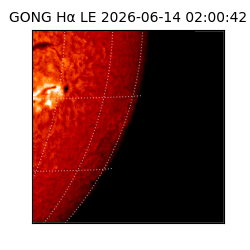 gong - 2026-06-14T02:00:42