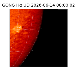 gong - 2026-06-14T08:00:02