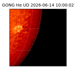 gong - 2026-06-14T10:00:02