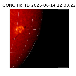 gong - 2026-06-14T12:00:22